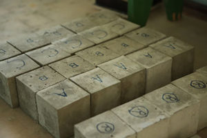 image5_wp6
